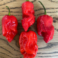 7 Pot Douglah - Chilelisauce
