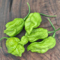 Green Trinidad Scorpion - Chilelisauce