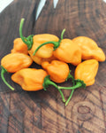 Habanero Orange