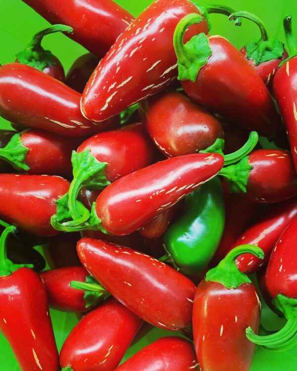 Jalapeno