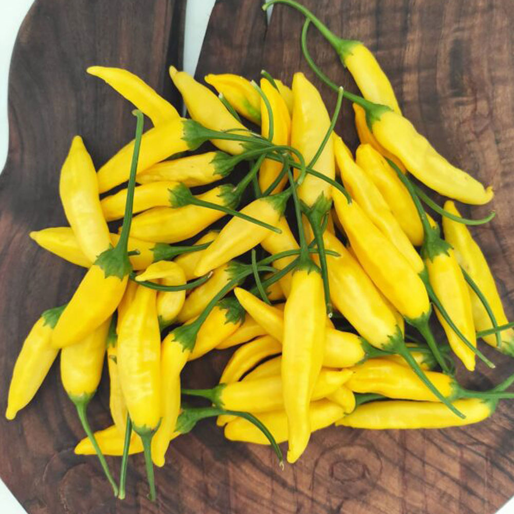 Aji Limon (Lemon Drop)